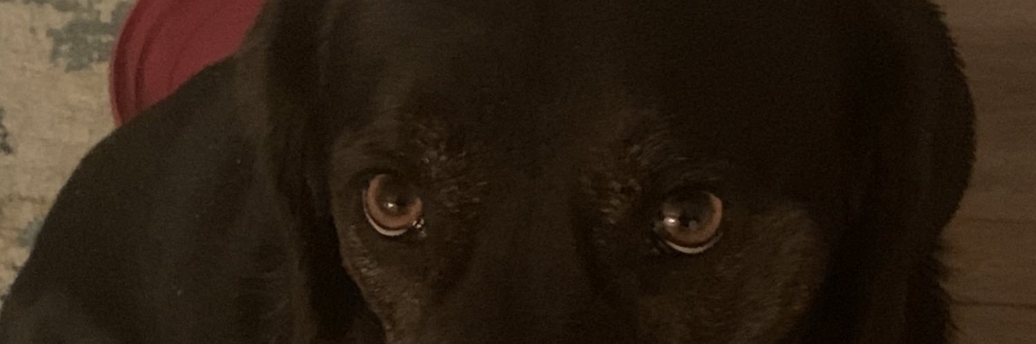jarredmadison's profile banner image
