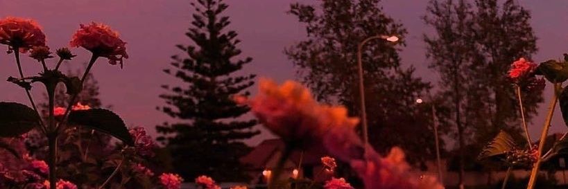 vm_shar's profile banner image