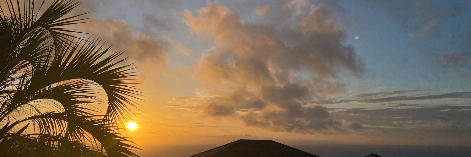 lavaggi_cami's profile banner image