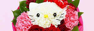 DPdeviputri's profile banner image