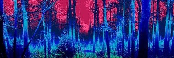 s_kurmaa's profile banner image