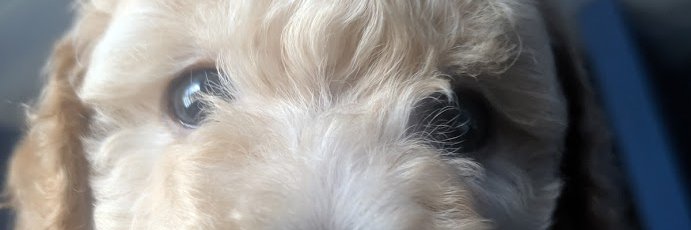 FrancisRJS's profile banner image