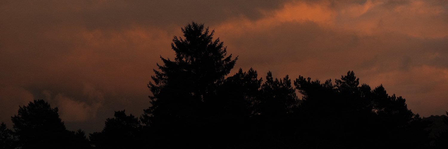 Trixstxn's profile banner image