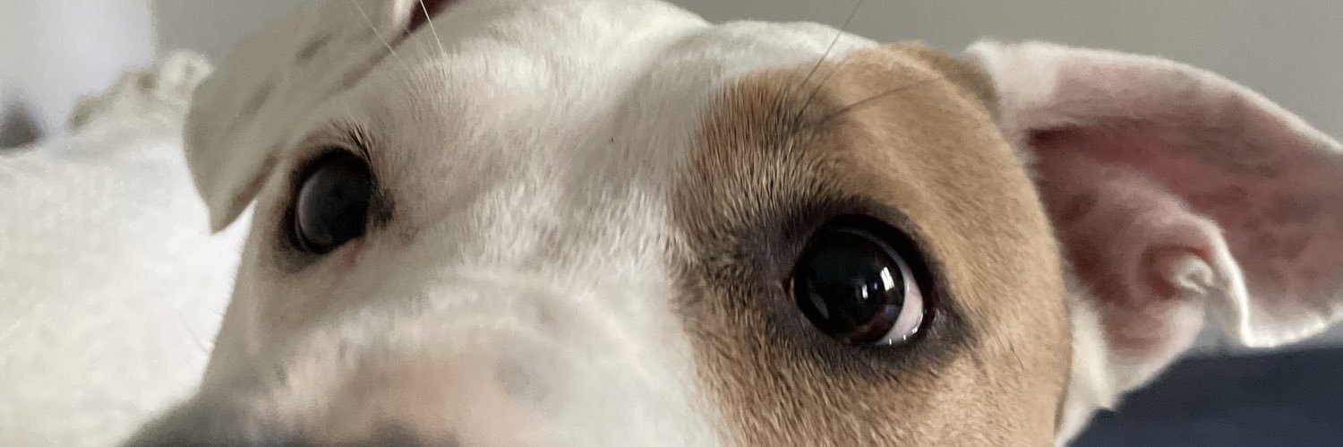 aaallie28's profile banner image