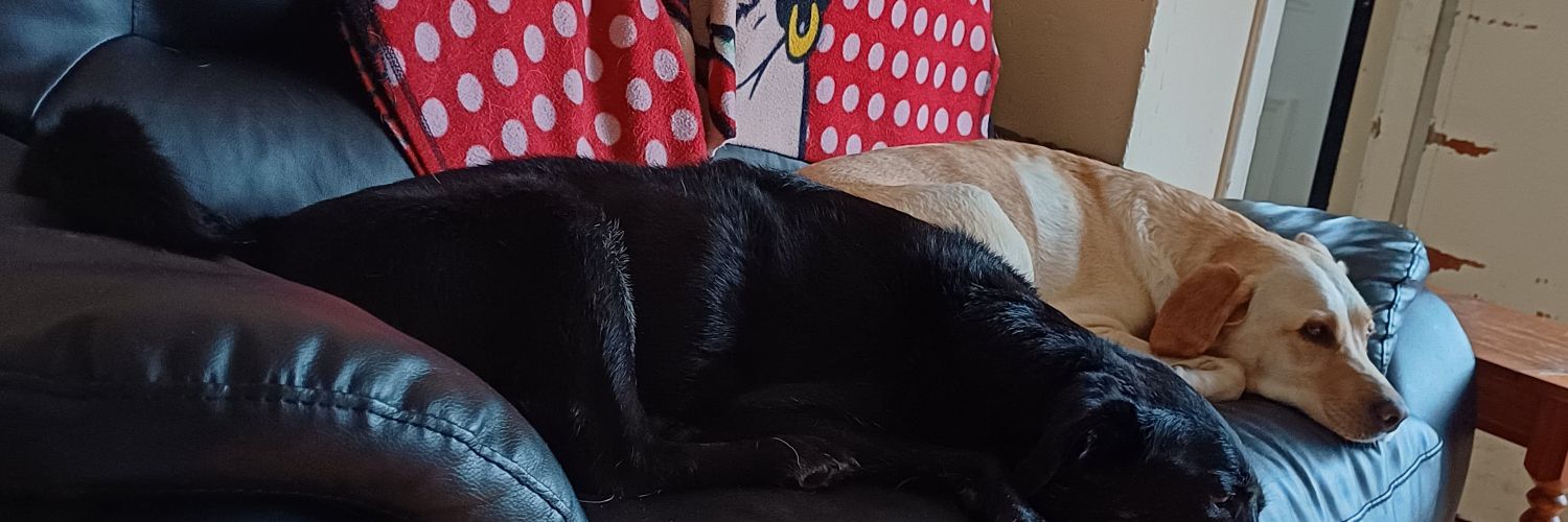 gerryppdub's profile banner image