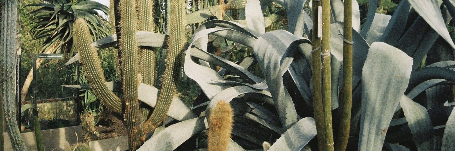 wtvmar_'s profile banner image