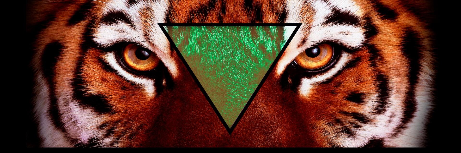 MferPerez93's profile banner image