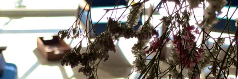 KKRwing's profile banner image