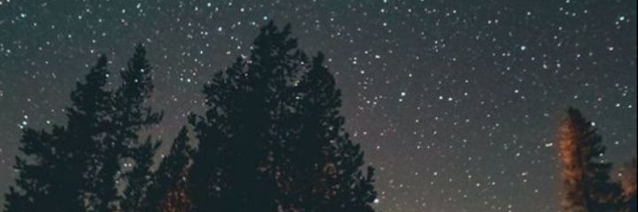 camilaafr's profile banner image