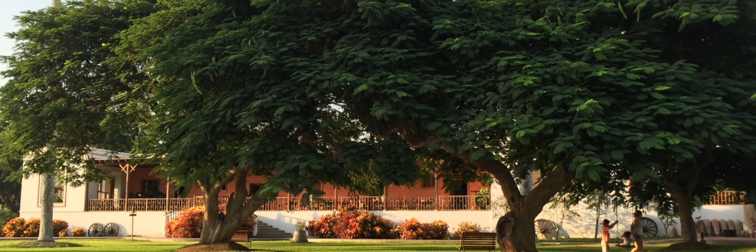 haroldpmt's profile banner image