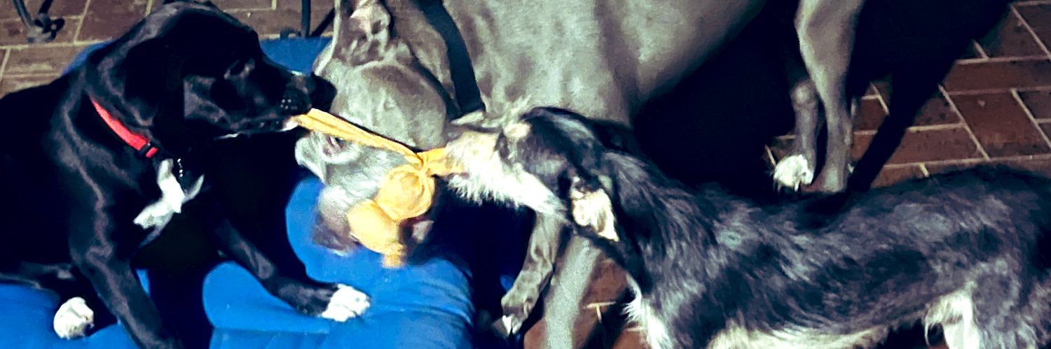 Johnny Goodluck🍀 banner