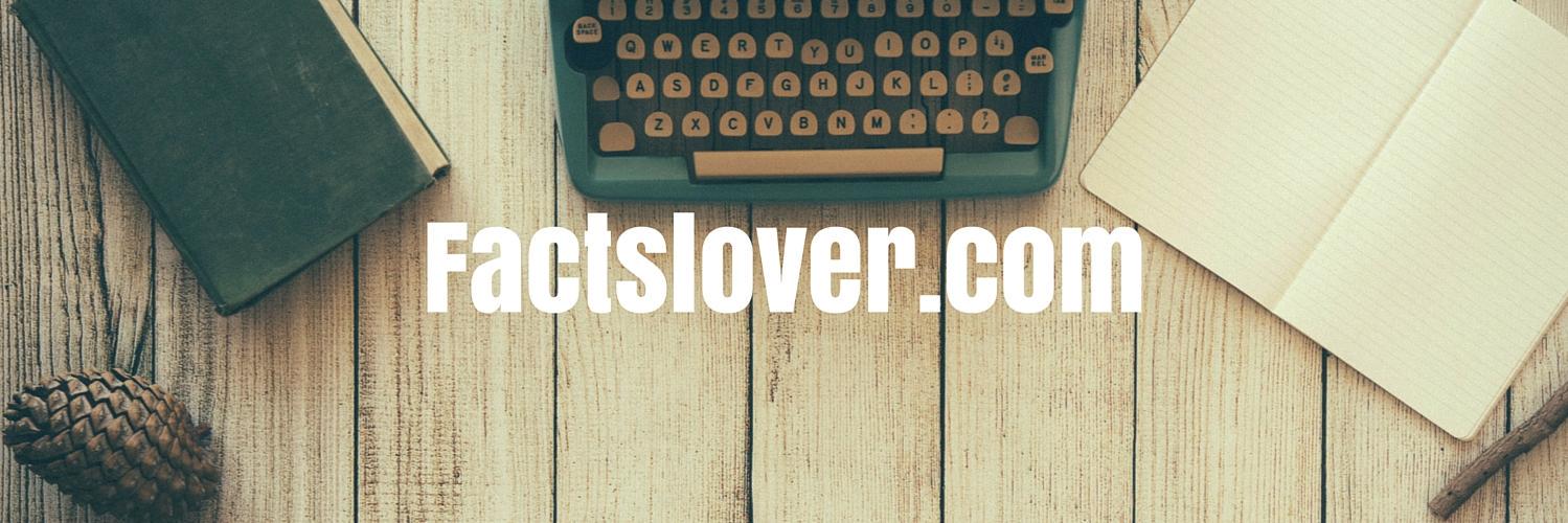Thefactslover's profile banner image