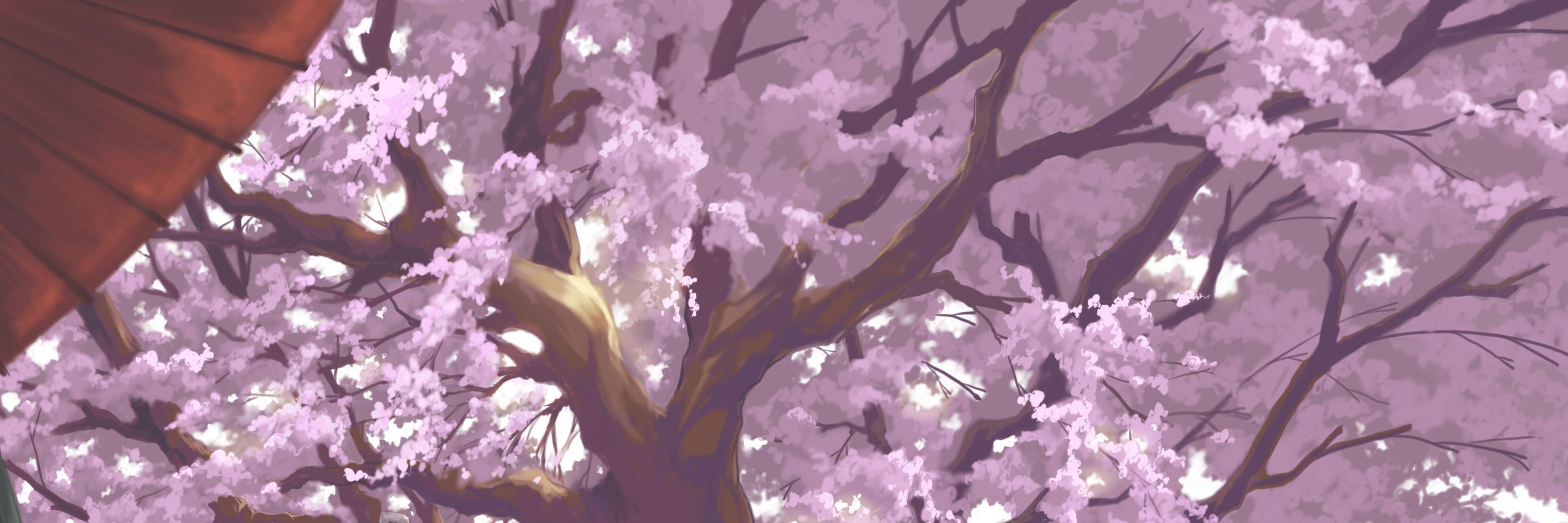 n_kinnosuke's profile banner image