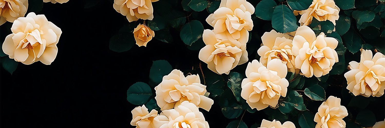 Λzula banner