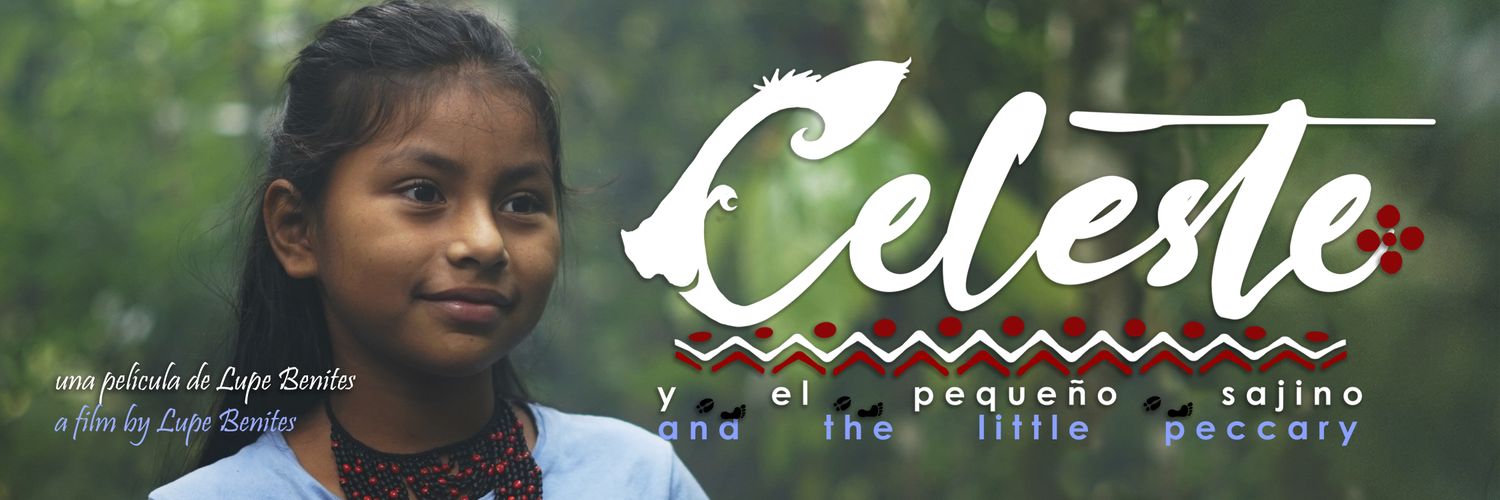 lupe_benites's profile banner image
