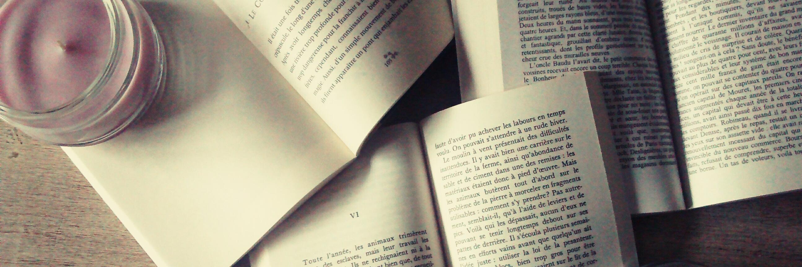 BookAndTeablog's profile banner image