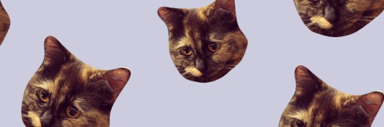 la_mirringa's profile banner image