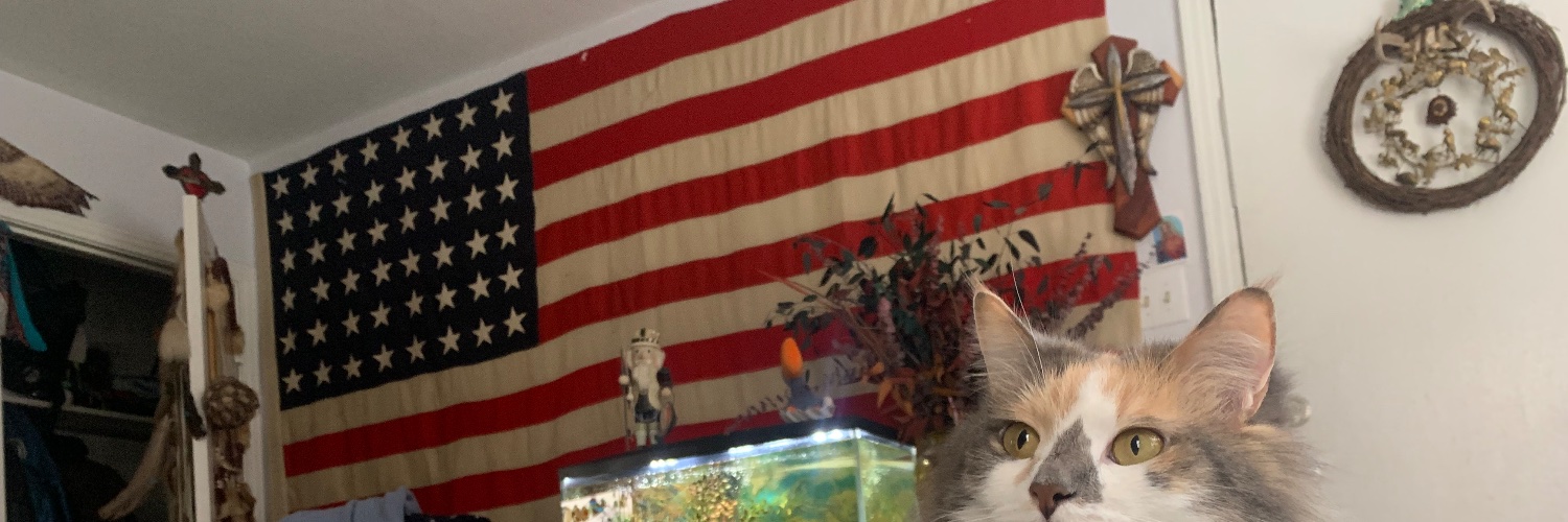 John Stephen Dehan banner