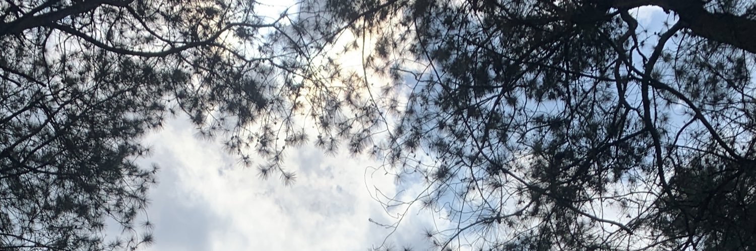 sugafans__'s profile banner image