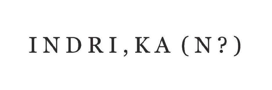 IndrikaTiranda's profile banner image