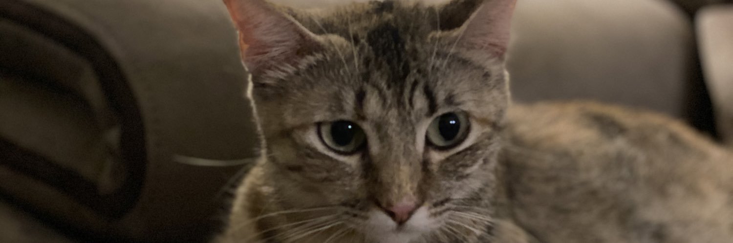 HungryDavy's profile banner image