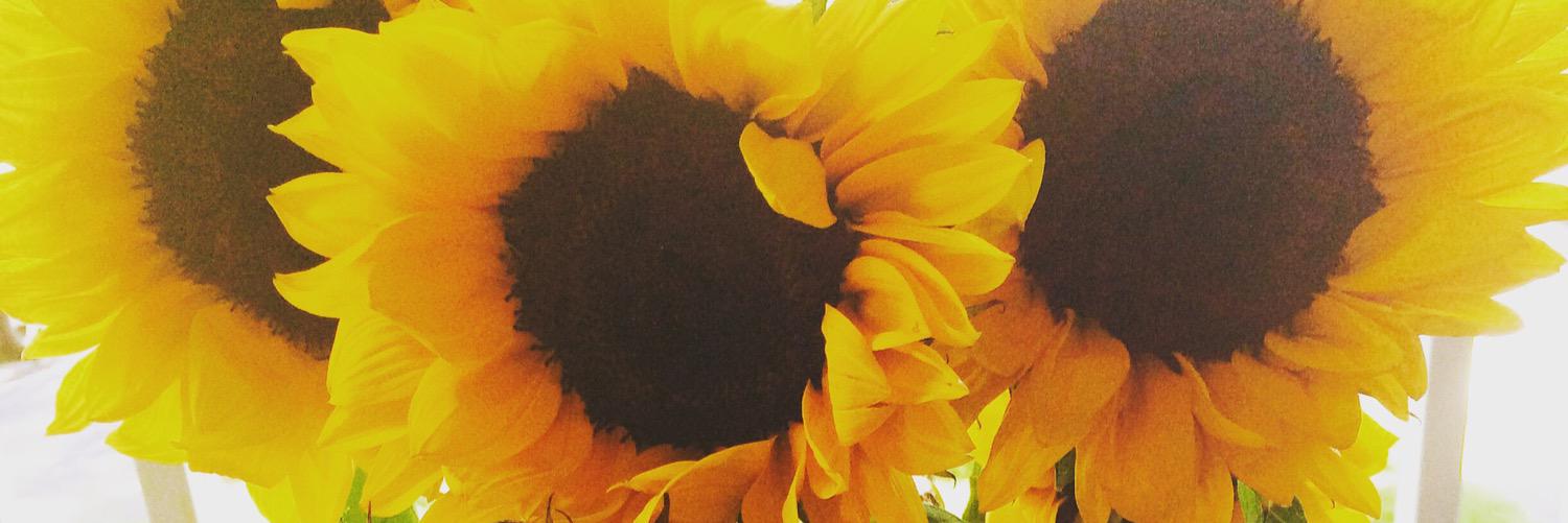 Mrs_Neal4's profile banner image