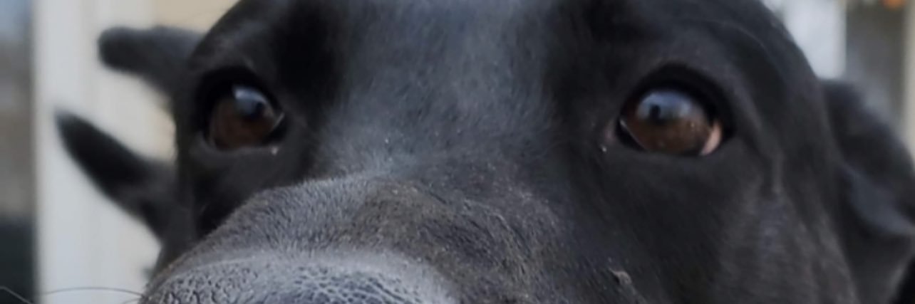 dmcnamee12's profile banner image