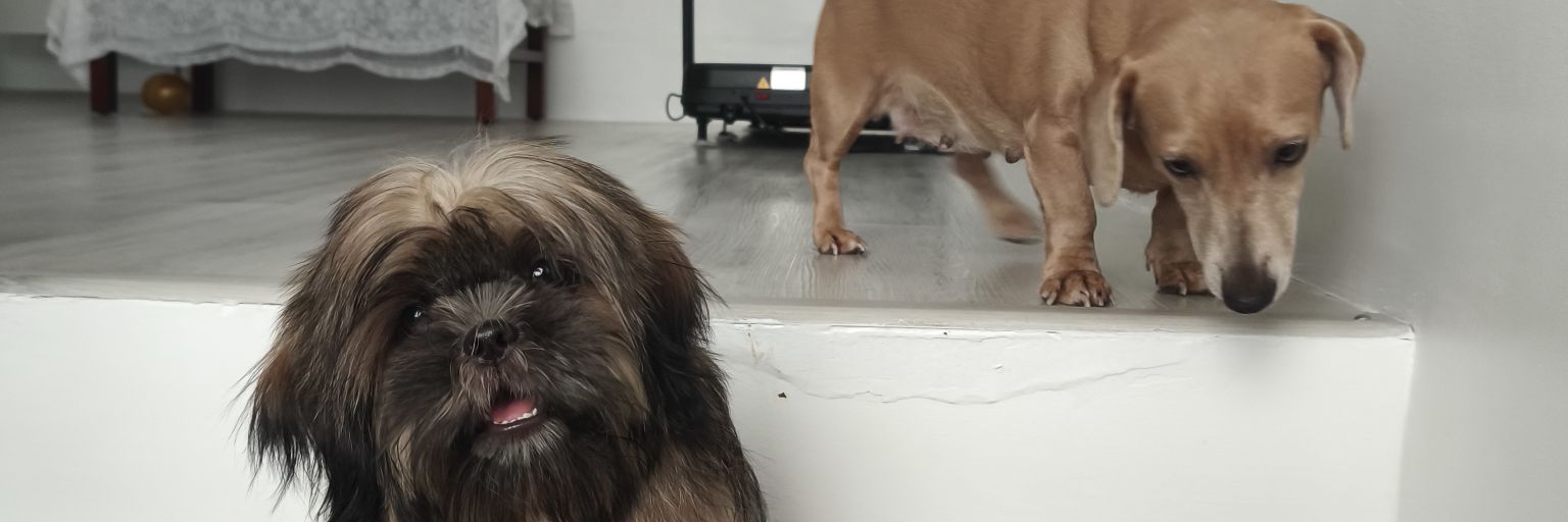 OnliiJhe's profile banner image