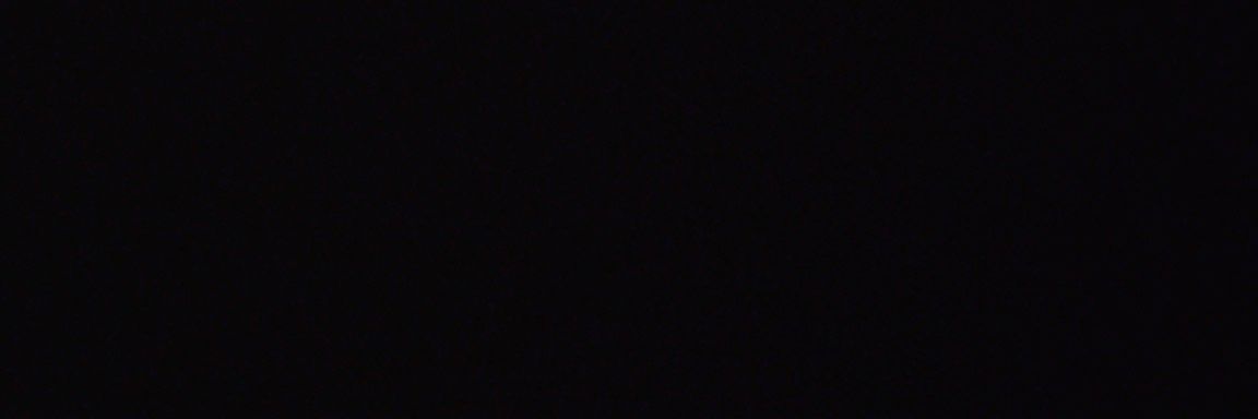 monyet ijo banyumas banner