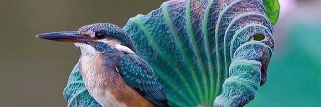 MyGenesis77's profile banner image