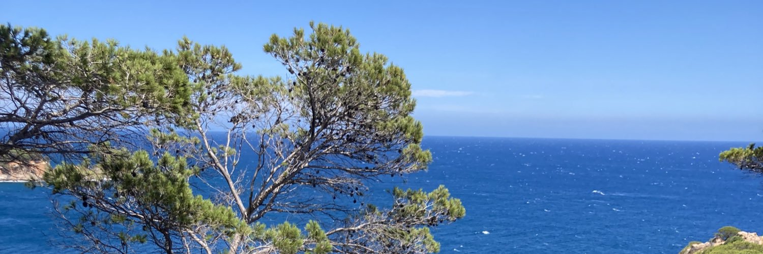 hhfleckenstein's profile banner image