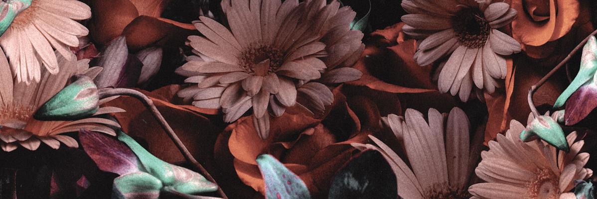 quierolanoche's profile banner image