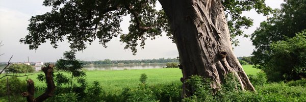 ChristellePire Profile Banner