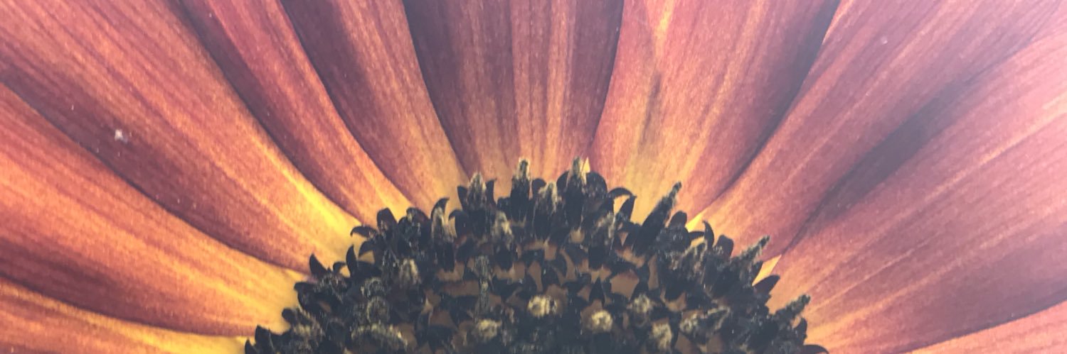 OgonAndy's profile banner image