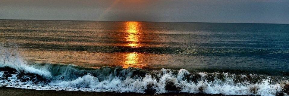 Julee Donnell banner