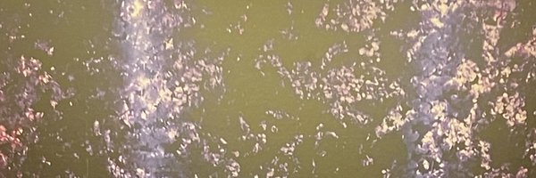 utss_SS919 Profile Banner