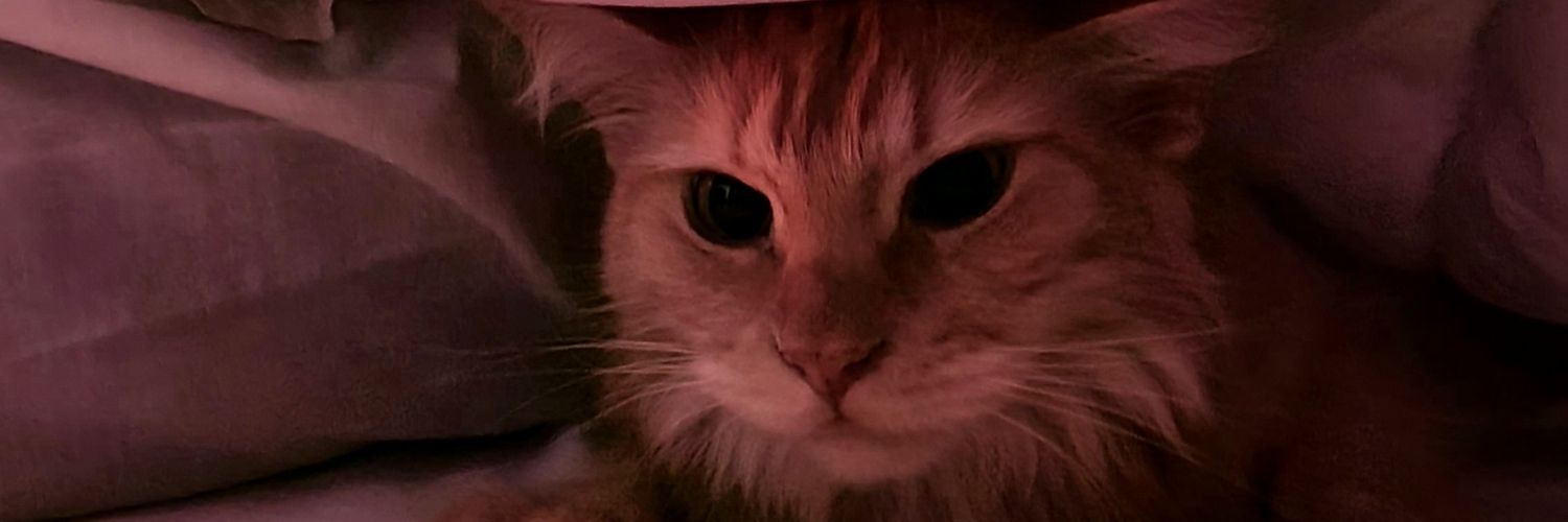 wafflesbite's profile banner image
