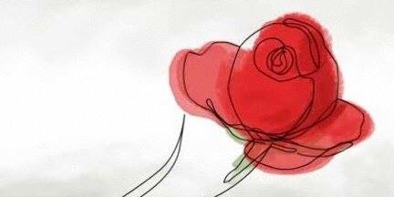 Rafi Romero Viosca banner