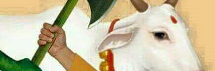 #SayNo2Leather RKHegde Kallabbe banner