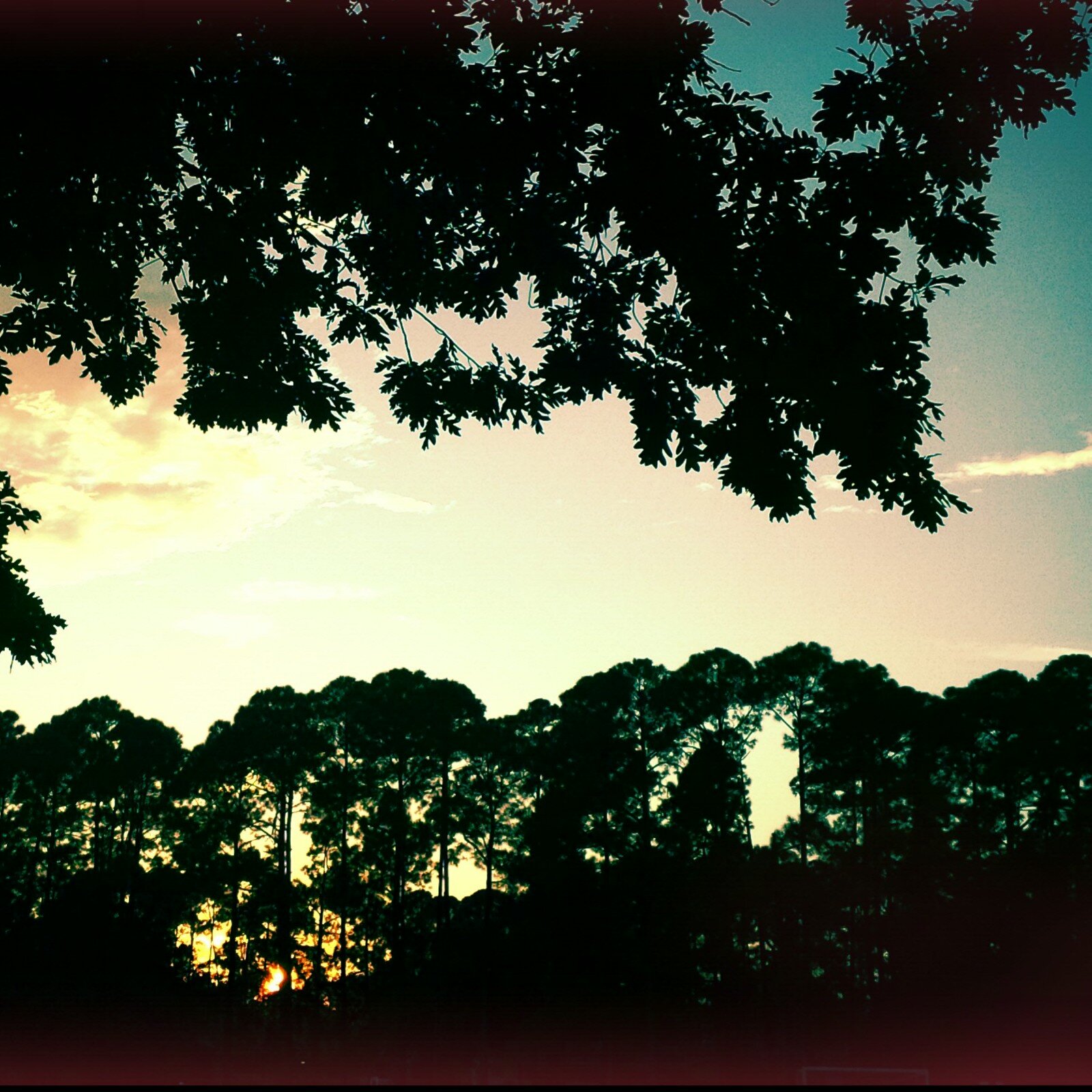 janisfuller's profile banner image