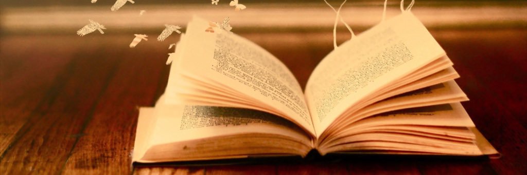 LitVentures's profile banner image