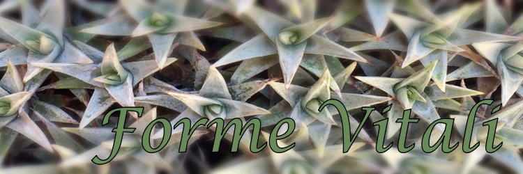 drdedalo's profile banner image