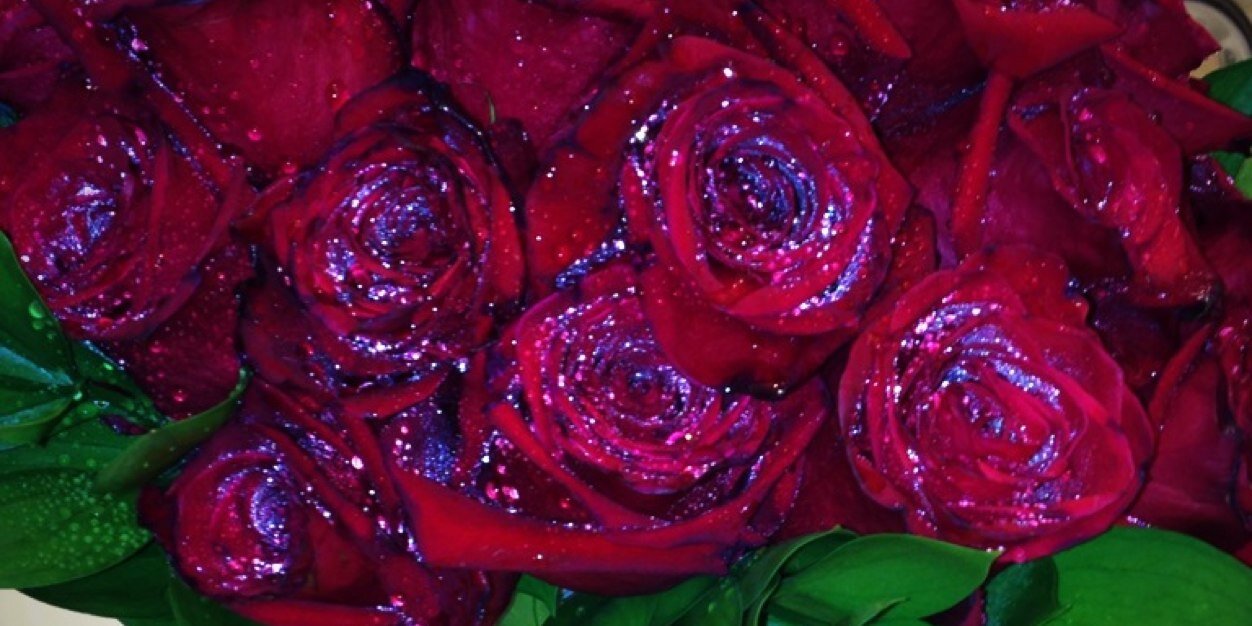 mayamena's profile banner image