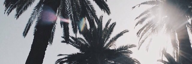 putrijenner's profile banner image