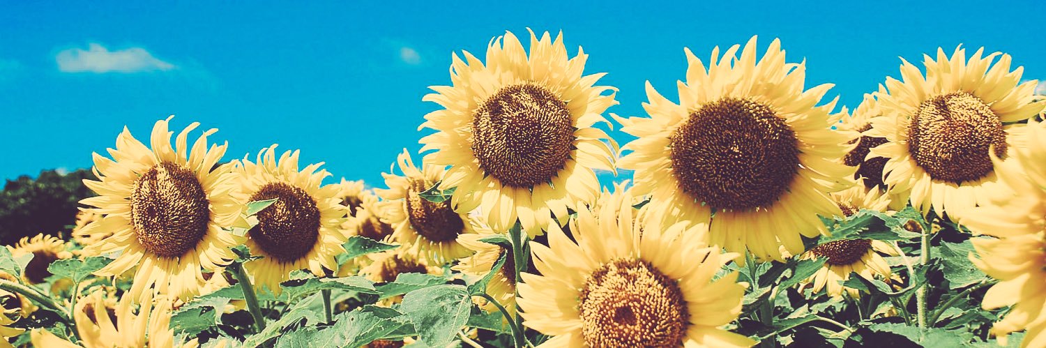 tomitomi0902's profile banner image