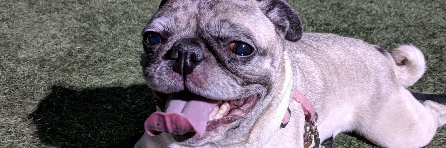 TGodthing's profile banner image