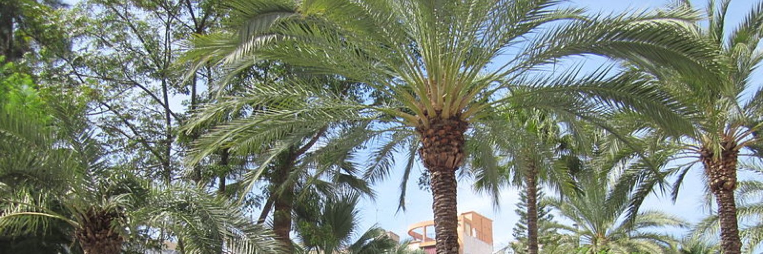 Gaspar Peral Bernat banner