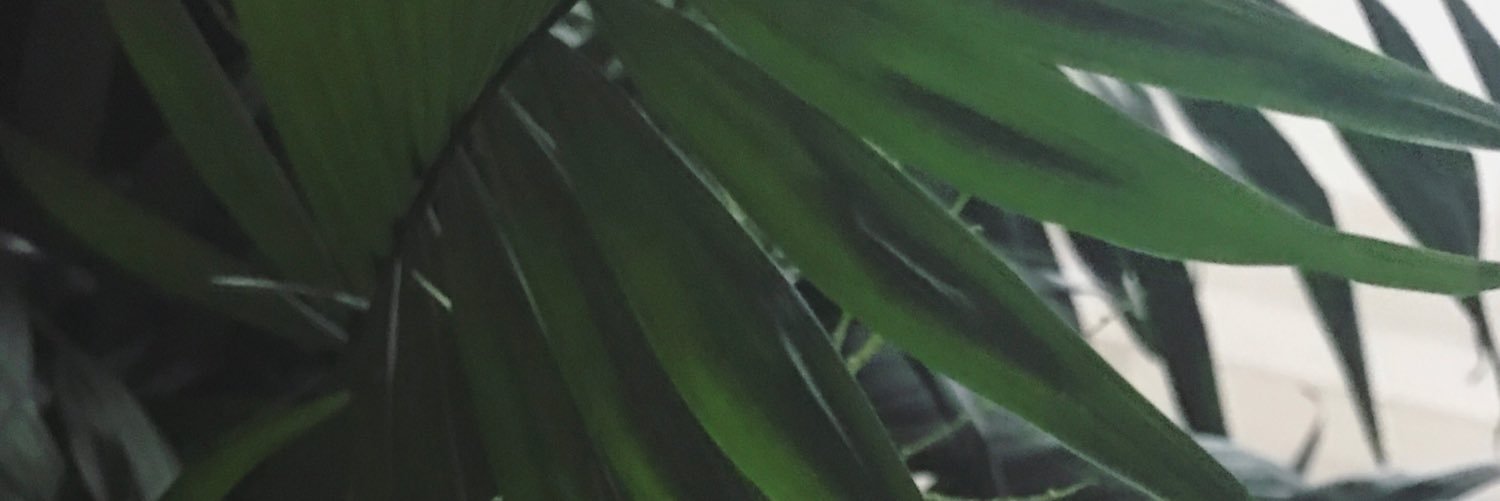chminjung's profile banner image
