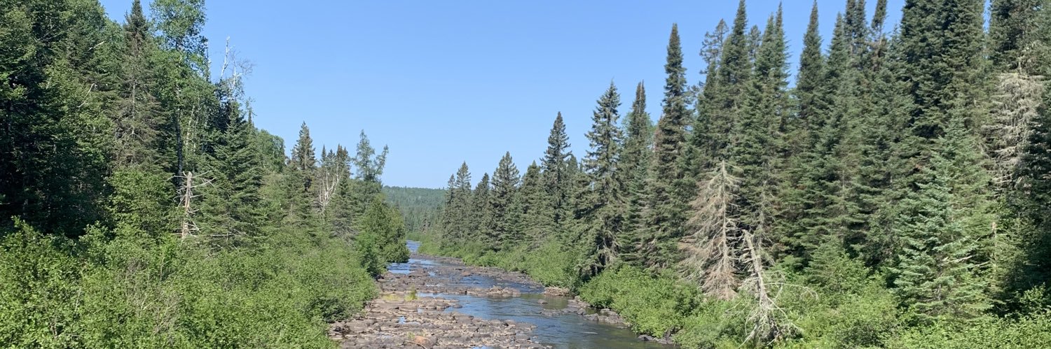 Nicholas Renk banner