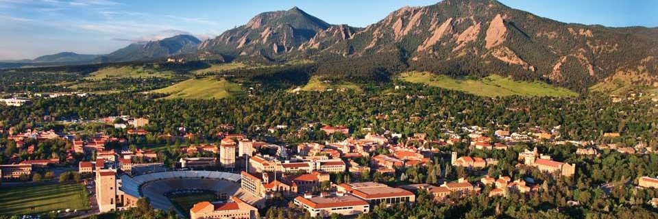 Dr. Virginia Ferguson banner